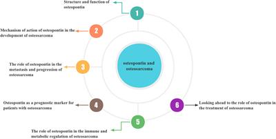 Endocrine regulation and metabolic mechanisms of osteopontin in the development and progression of osteosarcoma, metastasis and prognosis